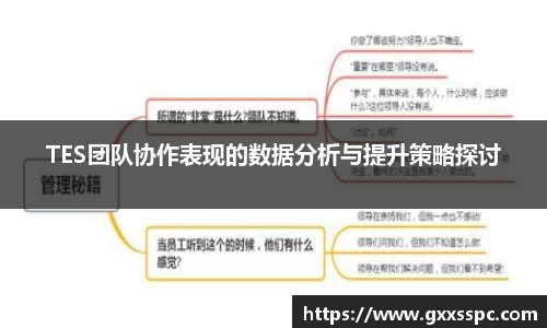 TES团队协作表现的数据分析与提升策略探讨